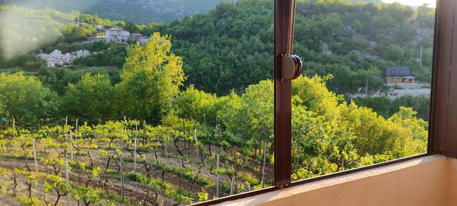 Village House - Novak Rijecani Rijeka Crnojevića Esterno foto