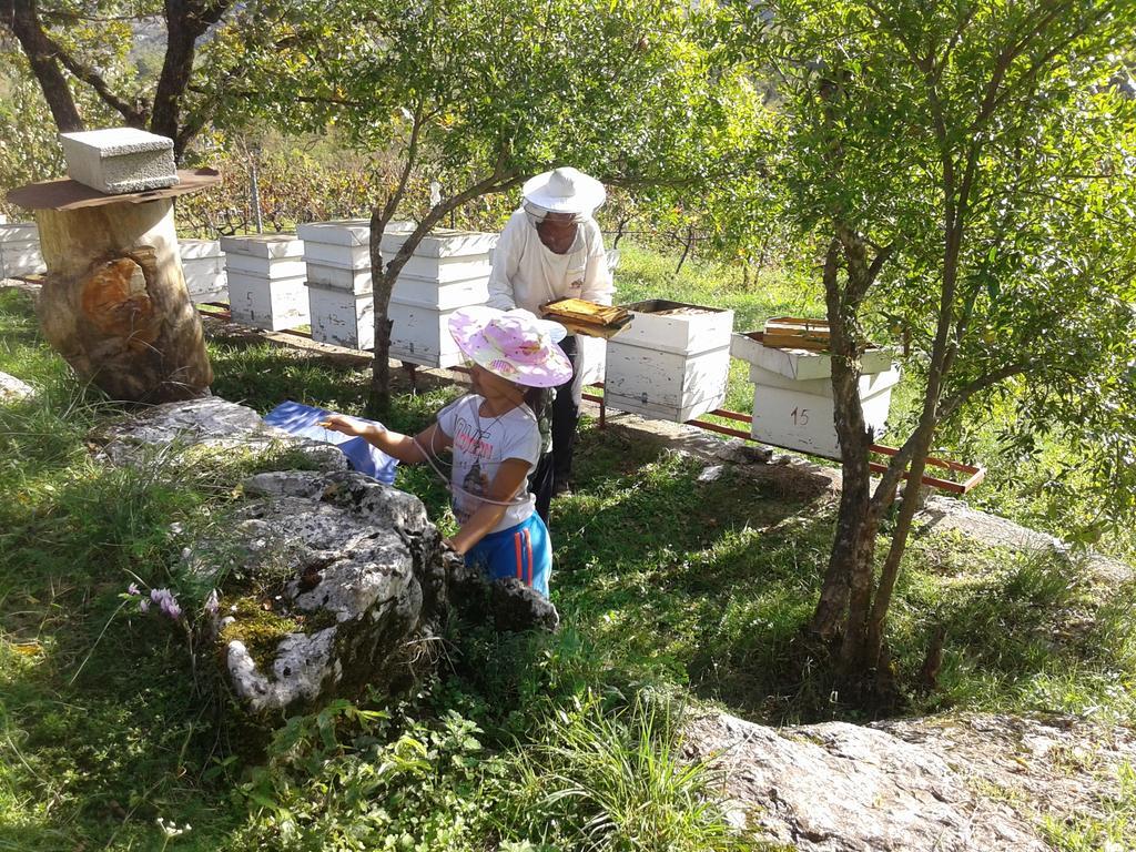 Village House - Novak Rijecani Rijeka Crnojevića Esterno foto