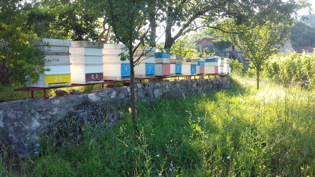 Village House - Novak Rijecani Rijeka Crnojevića Esterno foto